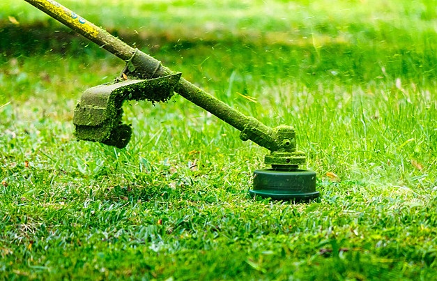 Rumput yang baru dipotong